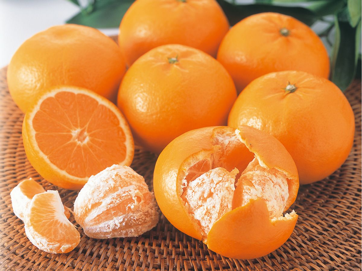 はれひめ7kg-贈答用 | のま果樹園