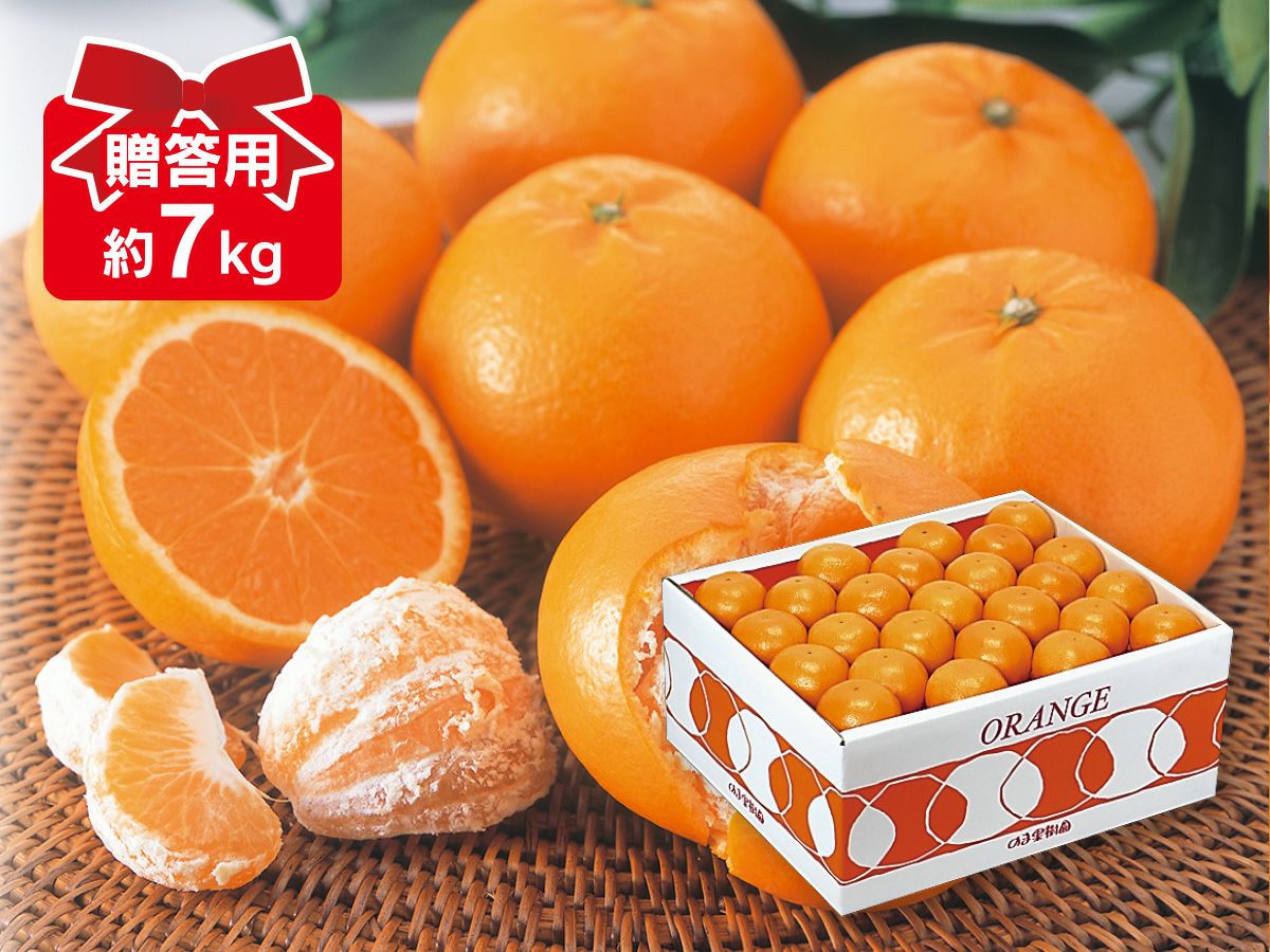 はれひめ7kg-贈答用 | のま果樹園