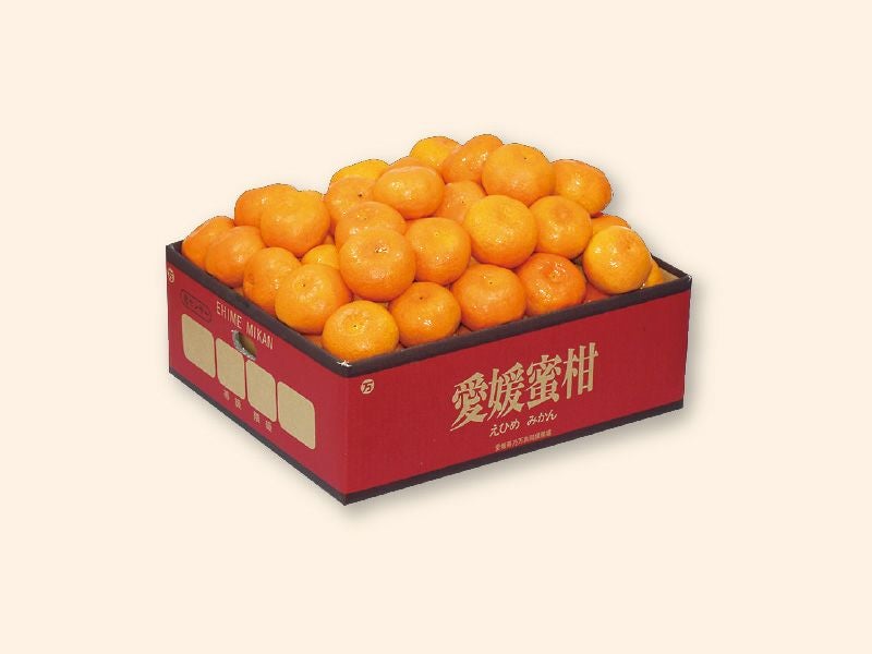 愛媛みかん5kg-家庭用 | のま果樹園