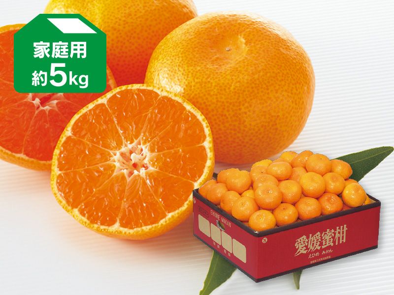 愛媛みかん5kg-家庭用 | のま果樹園