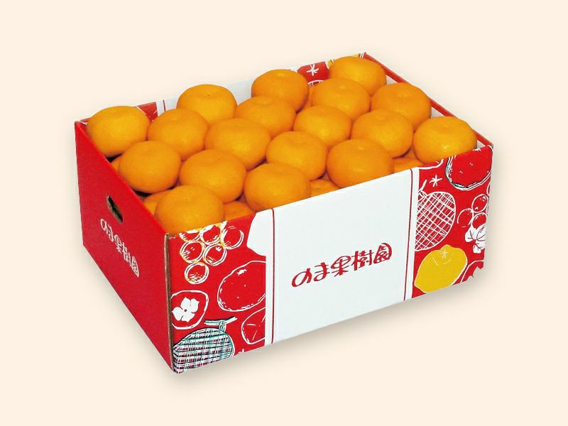 愛媛みかん5kg-贈答用 | のま果樹園