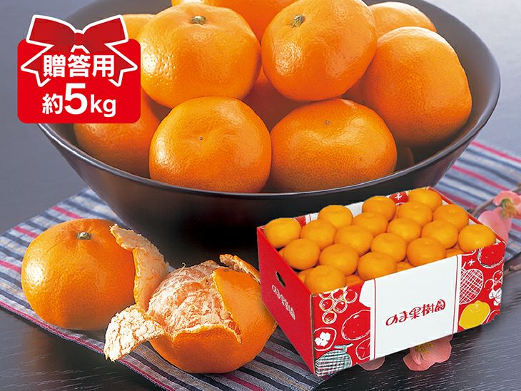 愛媛みかん5kg-贈答用 | のま果樹園