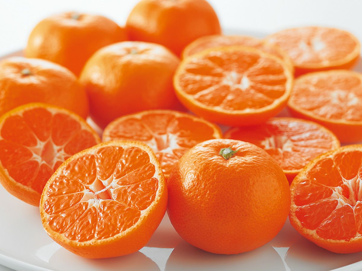 愛媛みかん5kg-家庭用 | のま果樹園