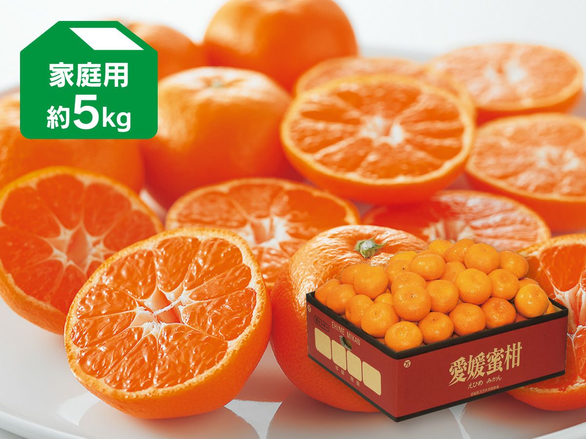愛媛の伊予柑☆混合サイズ☆ご家庭用☆4.５kg ×３ケース 家庭用】伊予柑 4.5kg ジューシーな果肉♪ 愛媛みかん！！：愛媛県産の