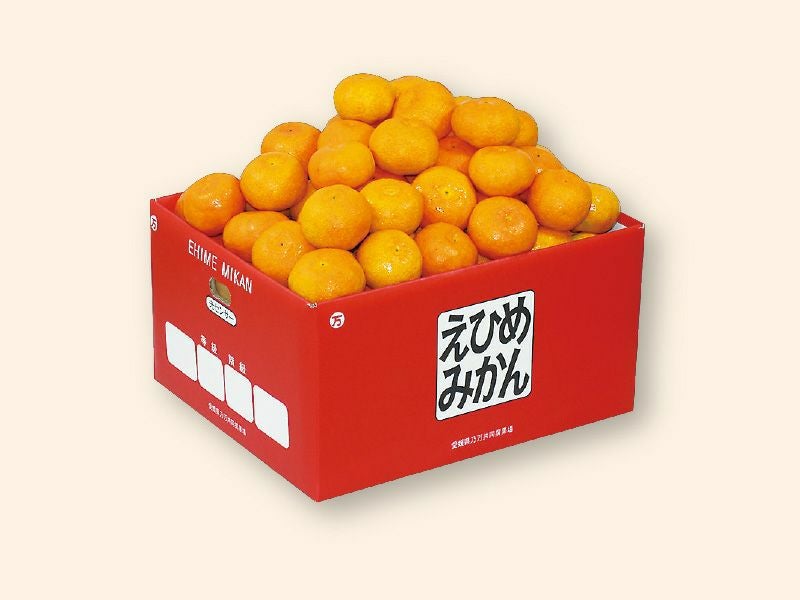 愛媛みかん9kg-小粒っ子 | のま果樹園