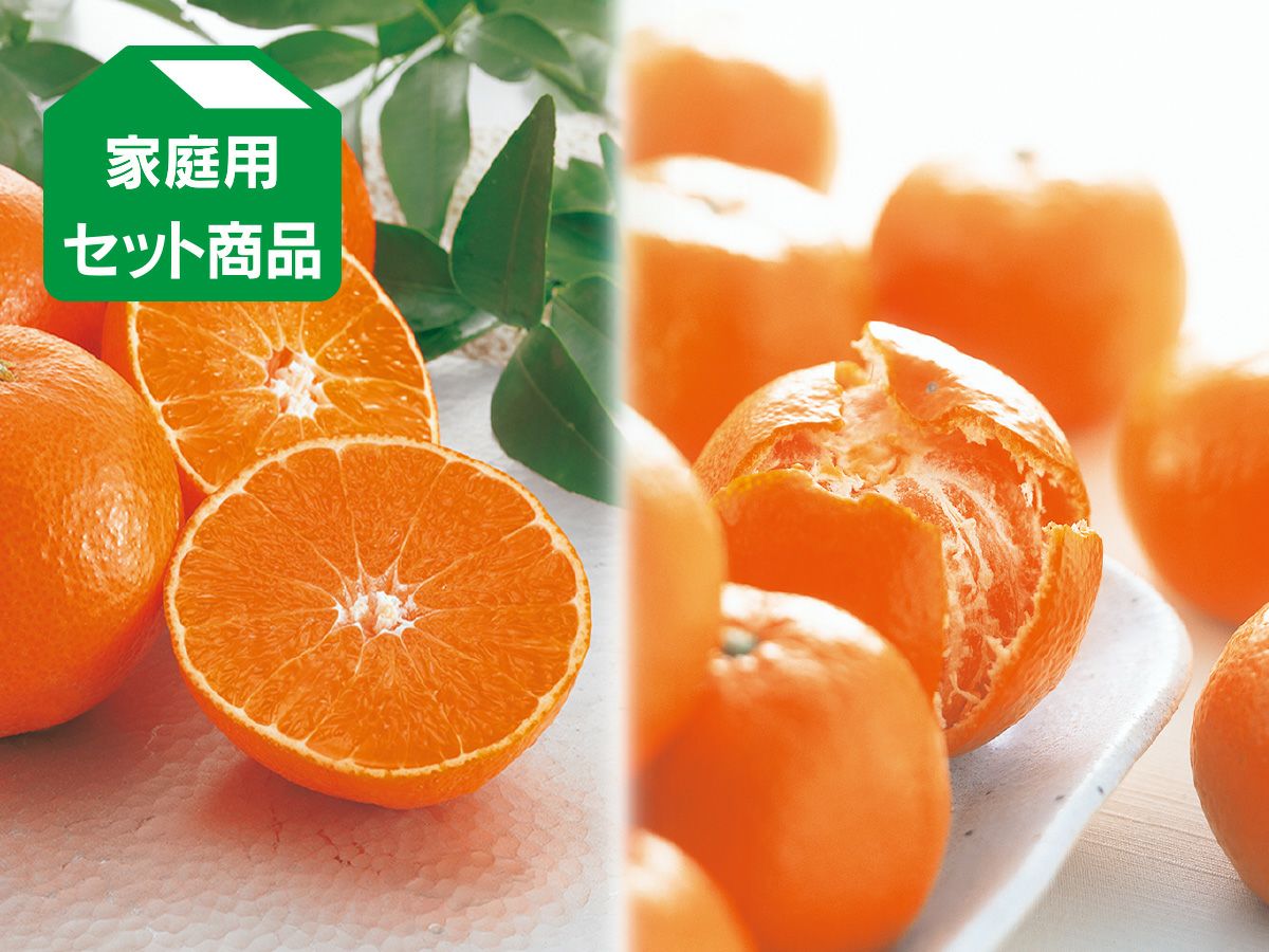 媛まどんな＆愛媛みかんセット約2kg(各1kg)家庭用 | のま果樹園