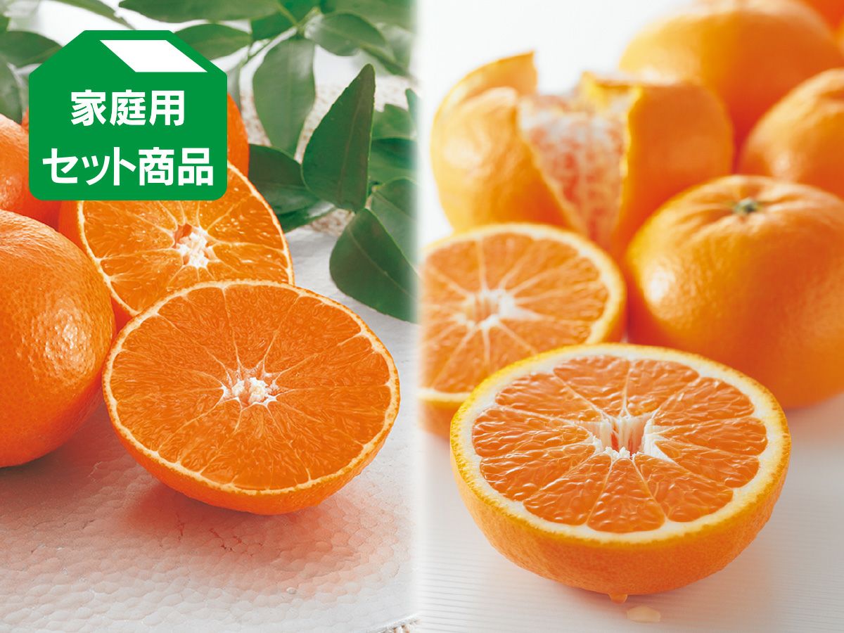 媛まどんな＆はれひめセット約2kg(各1kg)家庭用 | のま果樹園