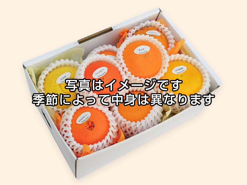 柑橘詰め合わせ① 茜(あかね)セット | のま果樹園