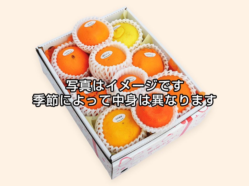 有田みかん　純宝丸　柑橘4種詰め 合わせ9㎏〜10㎏入り2ケース 柑橘詰め合わせ② 碧(あおい)セット | のま果樹園