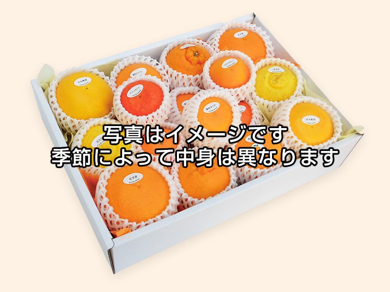 柑橘詰め合わせ④ 深緑(しんりょく)セット | のま果樹園