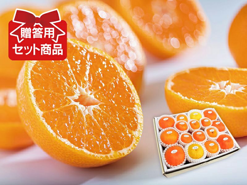 季節のセット＆フルーツ詰合せ | のま果樹園