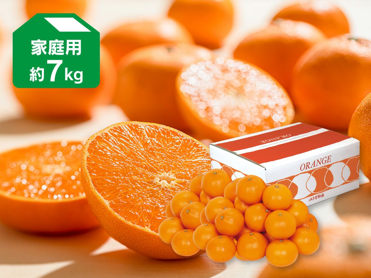 000000001073-04.jpg?size=xl&w=