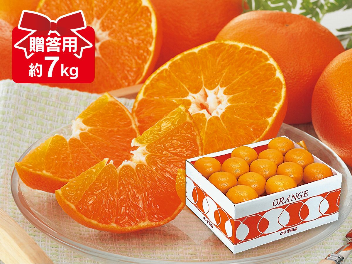 000000001331-04.jpg?size=m&w=