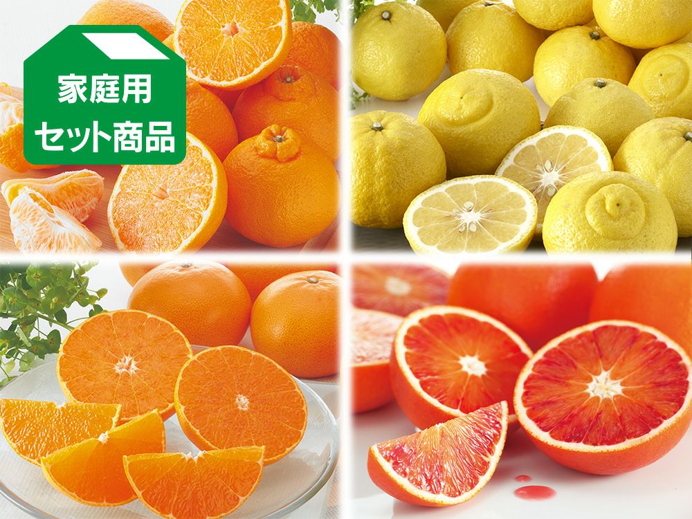 3月の柑橘4種味比べ「満足」セット | のま果樹園