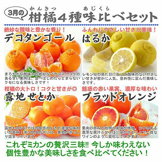 柑ページ 有機甘夏【4kg】