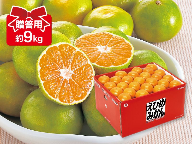 極早生みかん｜贈答用｜みかんのことなら「のま果樹園」