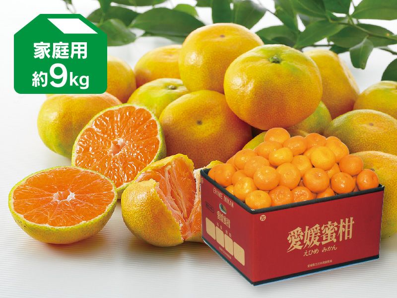 極早生みかん約9kg-家庭用 | のま果樹園