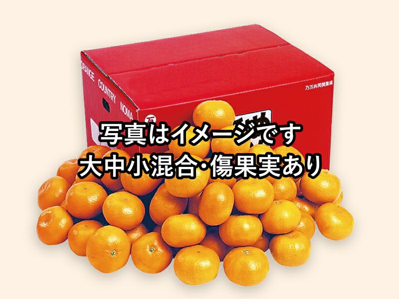 ワケあり極早生みかん約9kg | のま果樹園