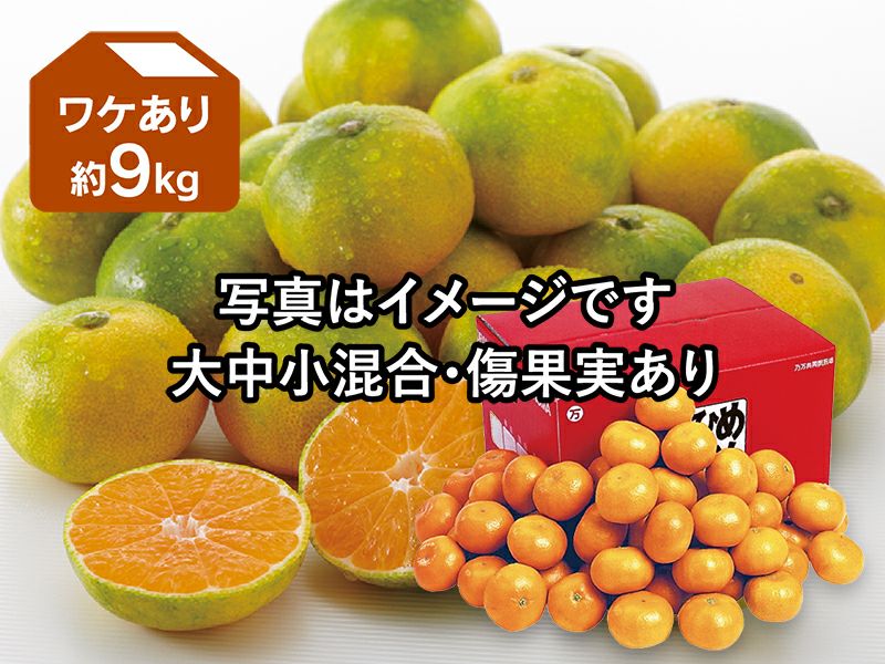 ワケあり極早生みかん約9kg | のま果樹園