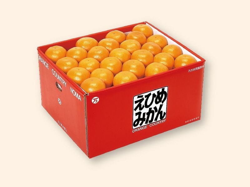 愛媛みかん9kg-贈答用 | のま果樹園