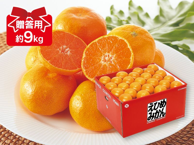 愛媛みかん9kg-贈答用 | のま果樹園