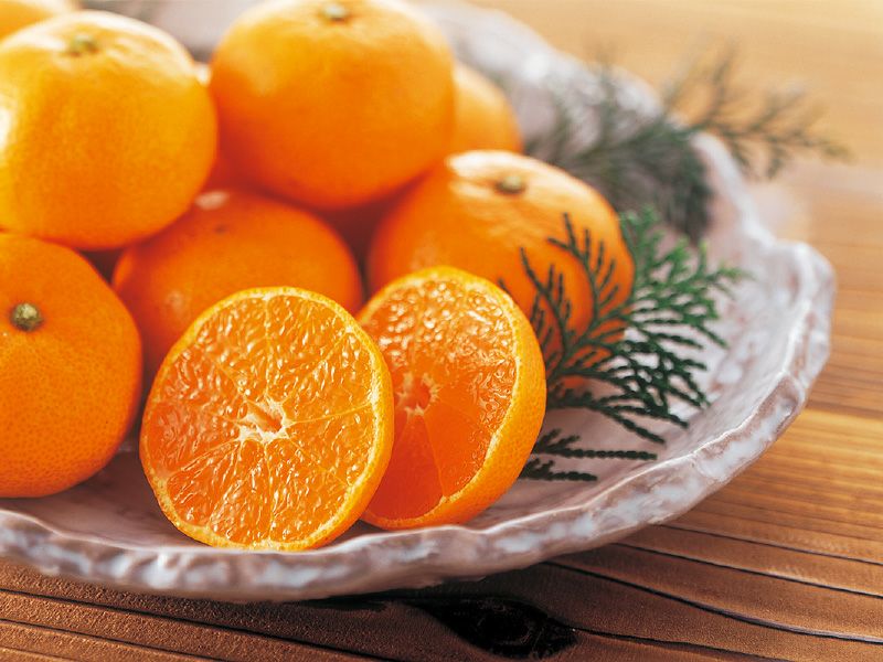 新口さんの権兵衛みかん約9kg | のま果樹園