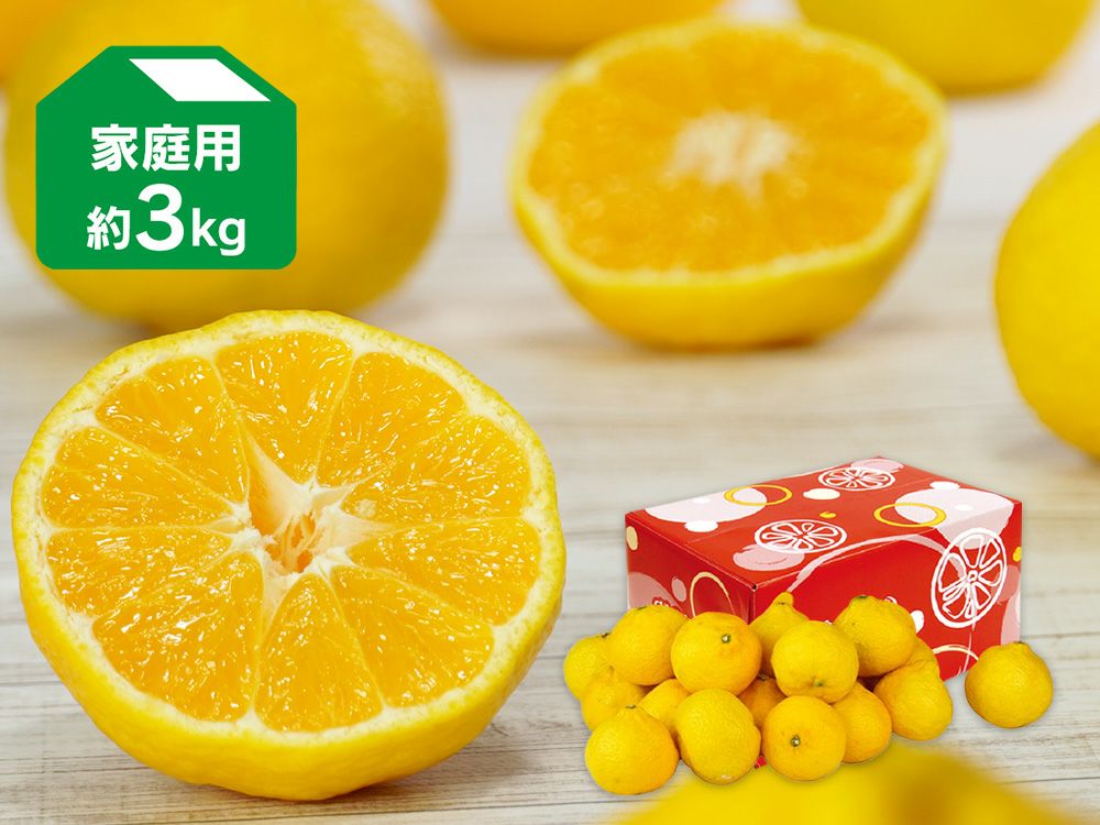 媛小春（ひめこはる） 約3kg | のま果樹園