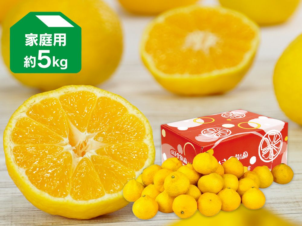 媛小春（ひめこはる） 約5kg | のま果樹園