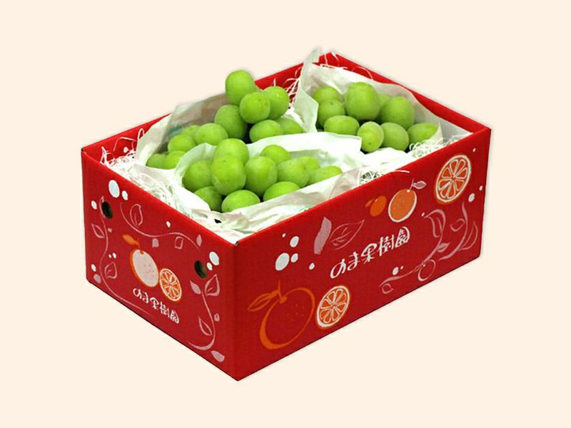 シャインマスカット 約2kg-家庭用 | のま果樹園