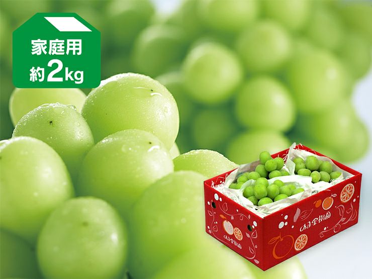 シャインマスカット 約2kg-家庭用 | のま果樹園