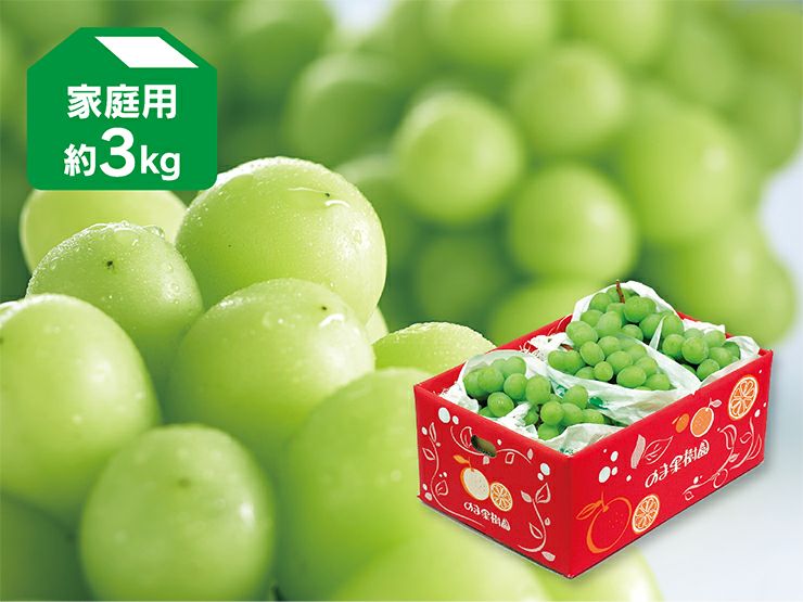 シャインマスカット | のま果樹園