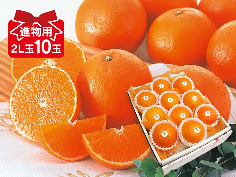 ベルガモット 約1kg 贈答用 | のま果樹園