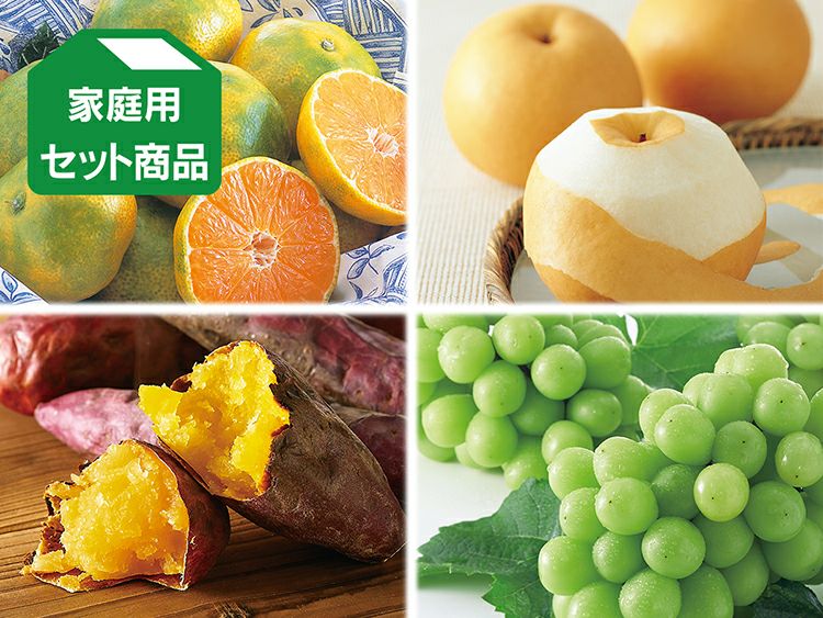 瀬戸ジャイアンツ(桃太郎ぶどう) | のま果樹園
