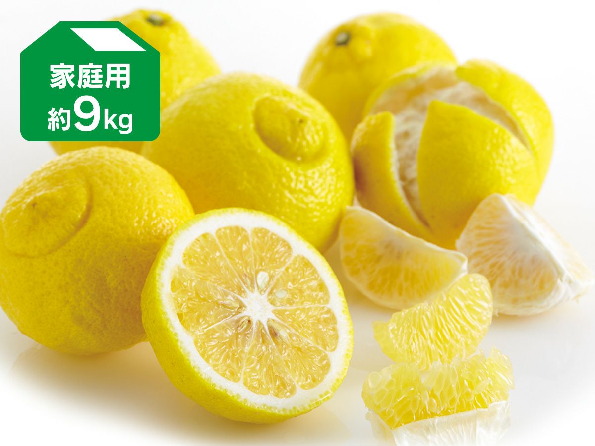 はるか約5kg-家庭用 | のま果樹園