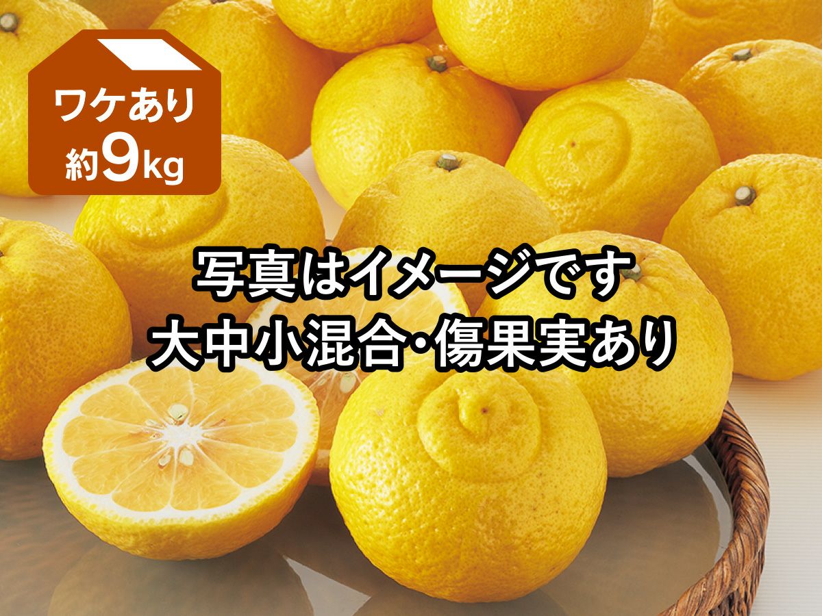 ✩ワルジャック様✩専用 はるか&媛小春 詰め合わせ ワケあり媛小春（ひめこはる） 約3kg | のま果樹園