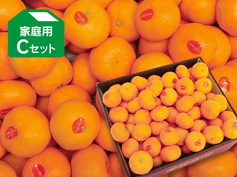 コタツでみかん「満足セット」 | のま果樹園