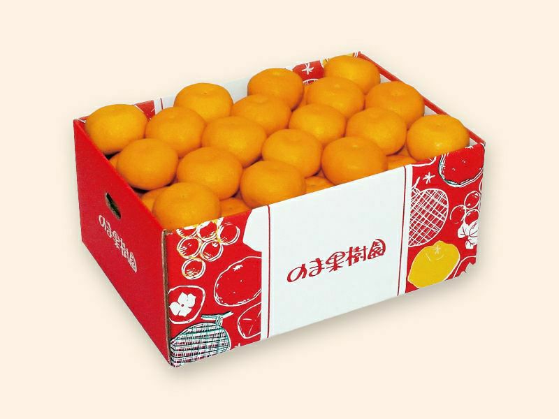 愛媛みかん5kg-贈答用 | のま果樹園