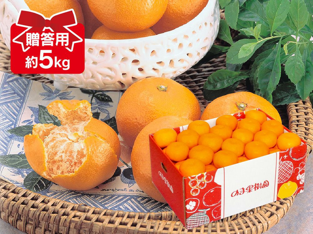 愛媛の伊予柑☆混合サイズ☆ご家庭用☆4.５kg×３ケース 家庭用】伊予柑 4.5kg ジューシーな果肉♪ 愛媛みかん！！：愛媛県産の