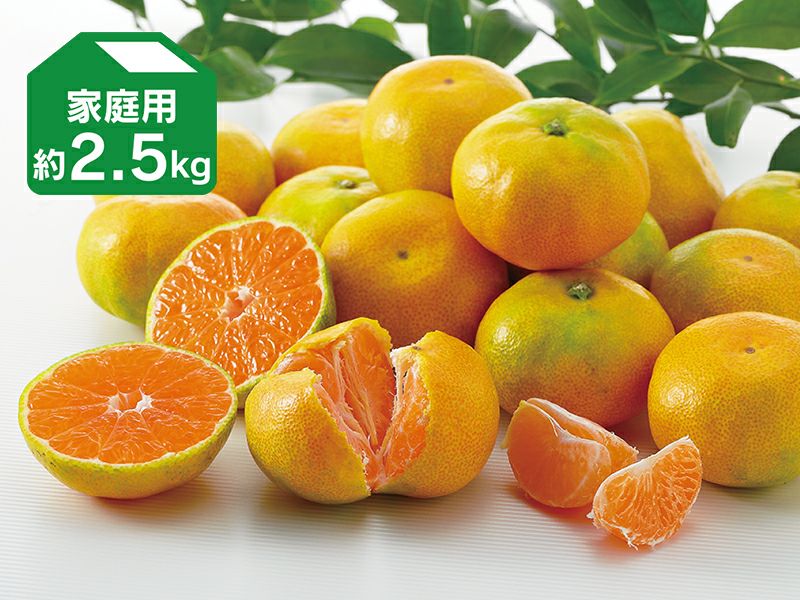 極早生みかん L玉・約2.5kg | のま果樹園