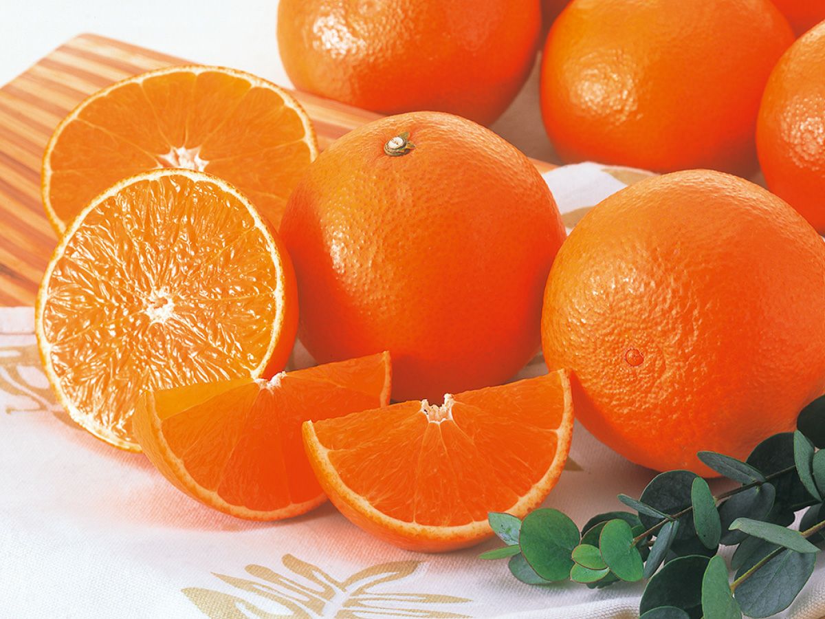 媛まどんな Cセット(10～15個前後) 贈答用 | のま果樹園