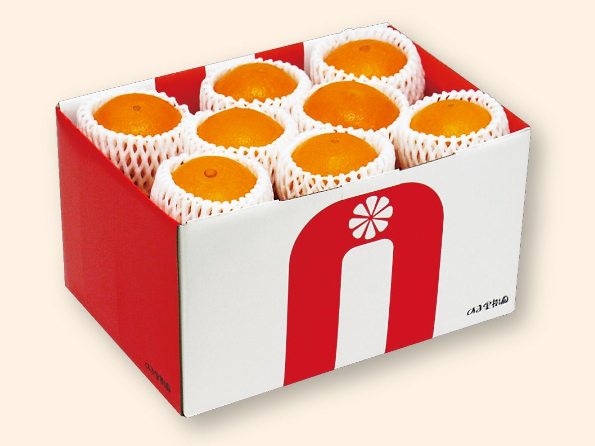 媛まどんな Cセット(10～15個前後) 贈答用 | のま果樹園