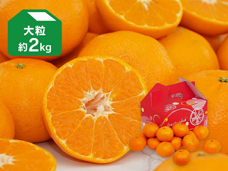 たまみ 約2kg-家庭用・大玉(2～3L玉) | のま果樹園