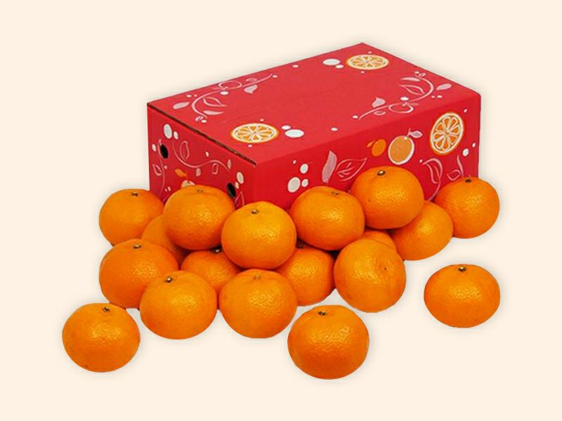 たまみ 約3kg-家庭用・大玉(2～3L玉) | のま果樹園
