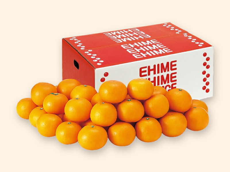 はれひめ4kg-家庭用 | のま果樹園