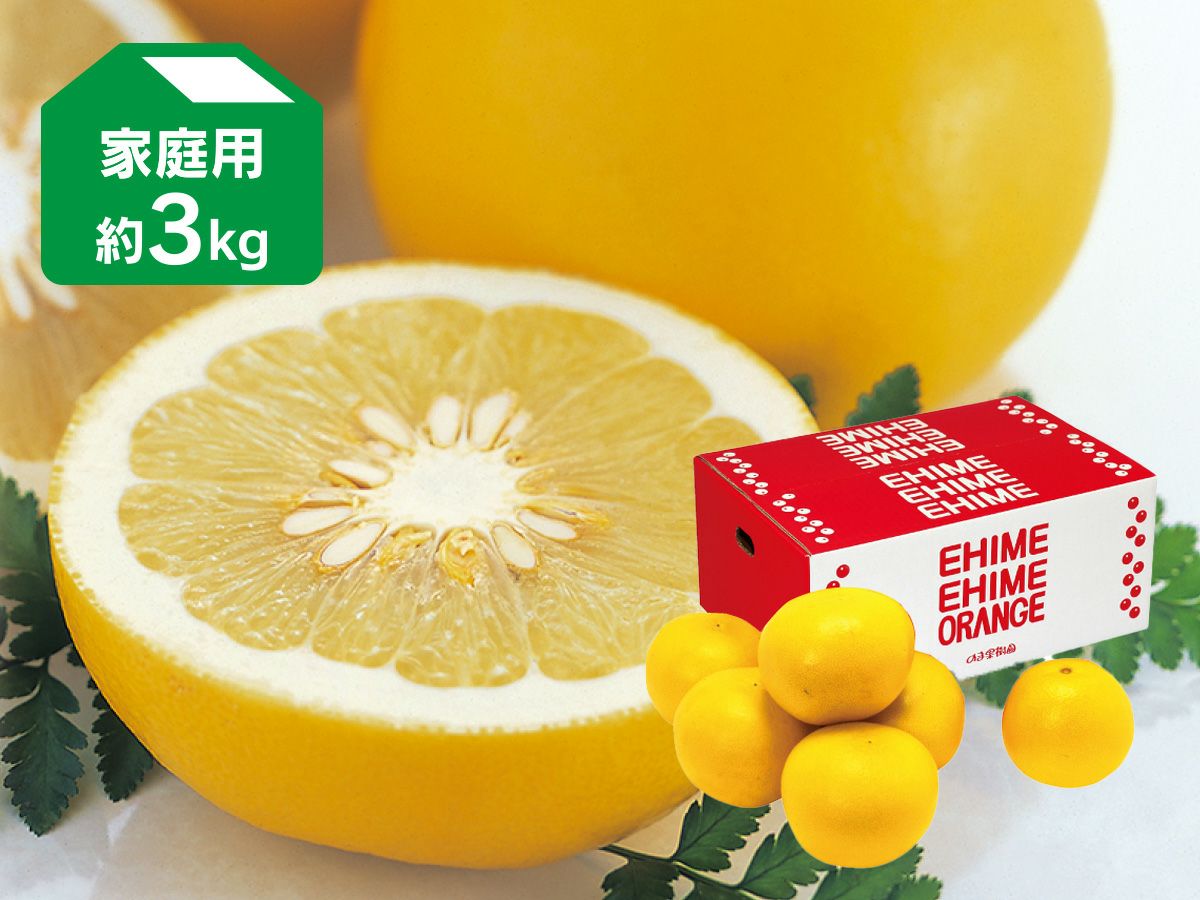 土佐文旦 約3kg-家庭用 | のま果樹園