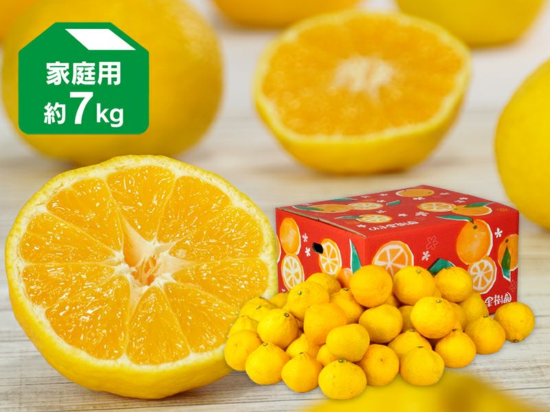 やまなみ　媛小春2kg+小玉甘平4kgぐるりん 媛小春（ひめこはる） 約2kg | のま果樹園