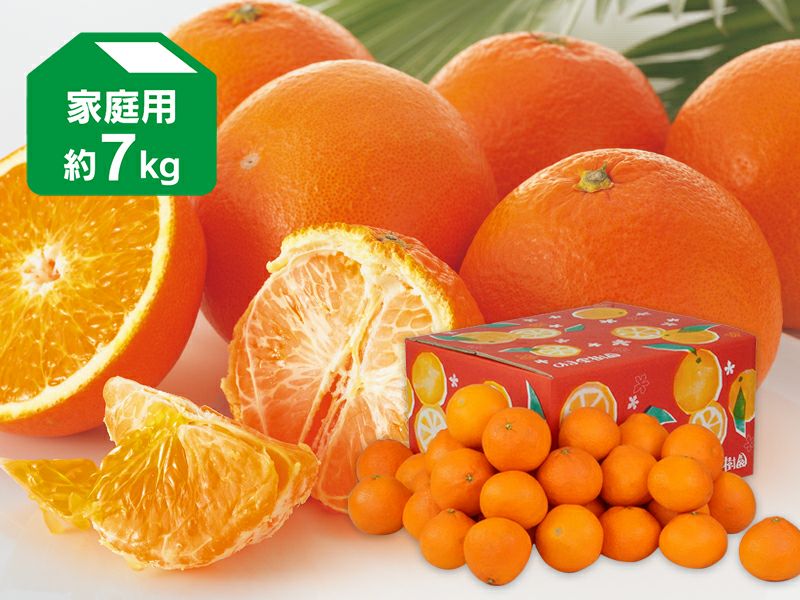 西之香 約7kg | のま果樹園