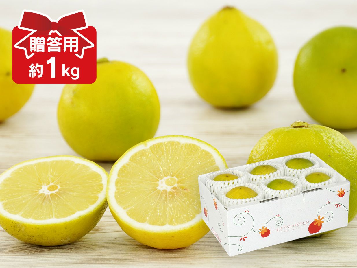 ベルガモット | のま果樹園