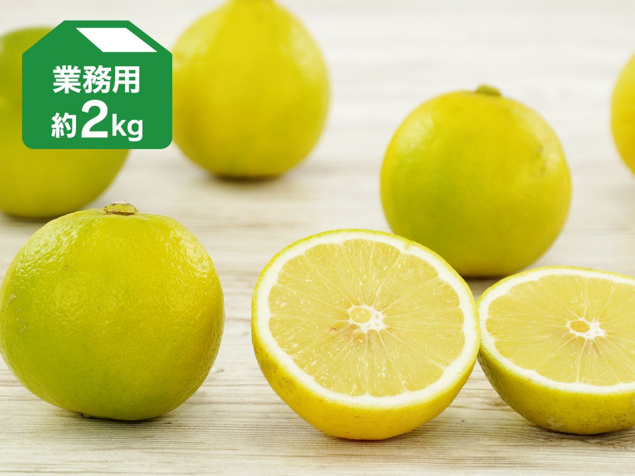 ベルガモット 約2kg 業務用 | のま果樹園