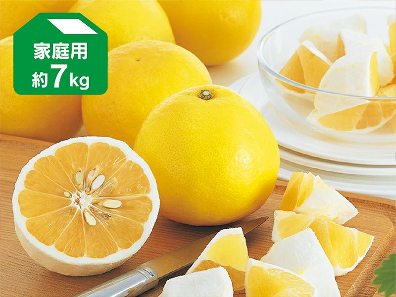 八朔(はっさく)約7kg-家庭用 | のま果樹園